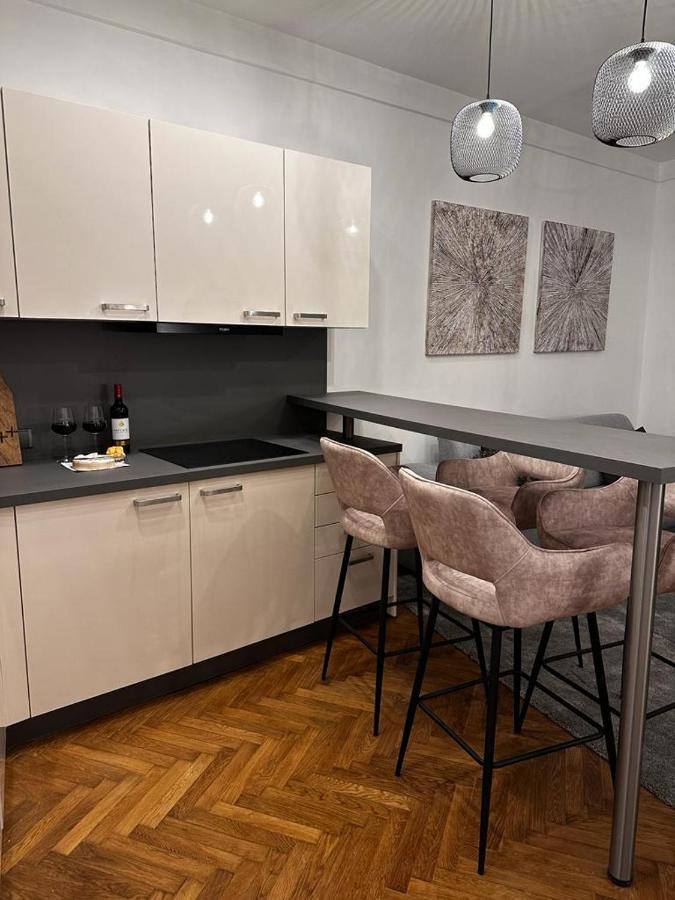 Riverside Apartment カルロヴィ・ヴァリ エクステリア 写真