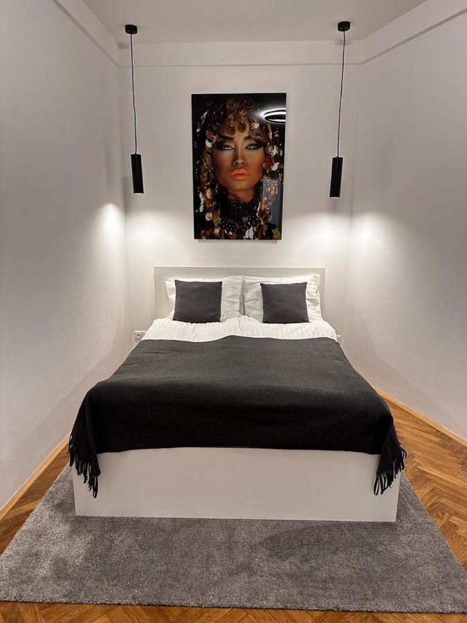 Riverside Apartment カルロヴィ・ヴァリ エクステリア 写真